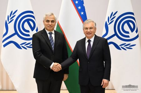 Президент Узбекистана отметил важность расширения практического партнерства в рамках ОЭС