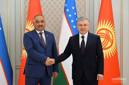 The President of Uzbekistan Focuses on Expanding Inter-Parliamentary Exchanges with Kyrgyzstan