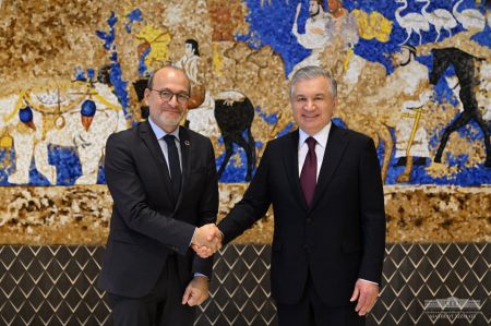 President of Uzbekistan meets with CEO of French Development Agency