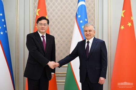 The President of Uzbekistan Receives the Minister of Foreign Affairs of China