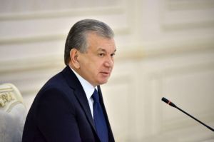 Land registration and public cadastre system cardinally revised
