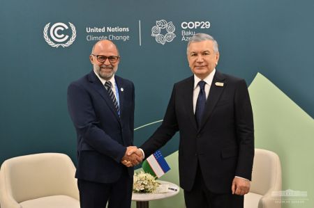 President of Uzbekistan points the need to strengthen partnership with Global Environment Facility 