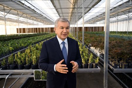 Modern Seedling Cultivation Center Established in Guzar