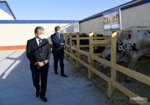 Agriculture projects presented Agriculture projects presented