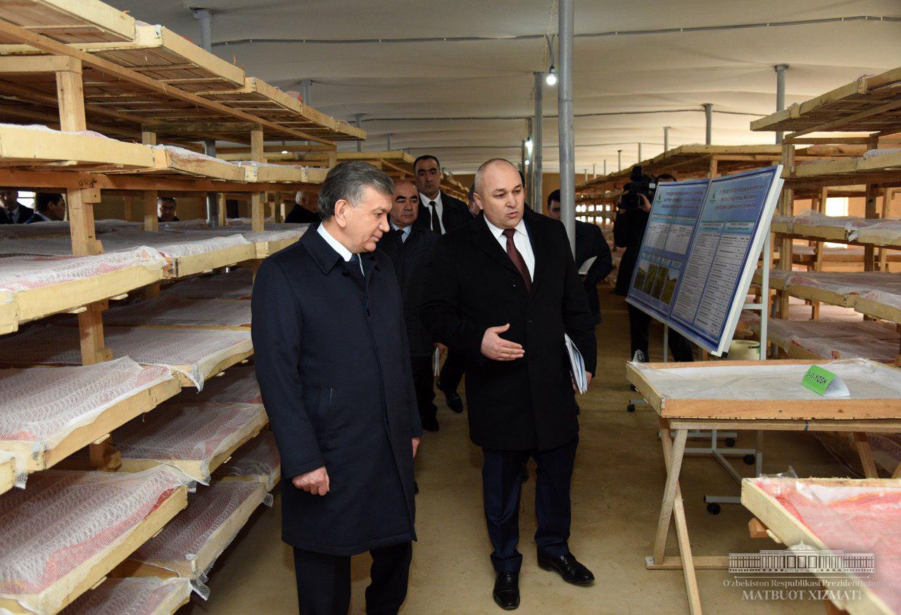 President got acquainted with innovative silkworm farm