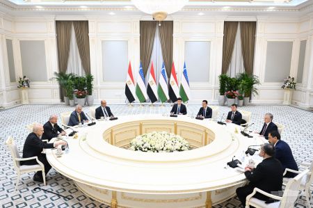 Uzbek President Discusses Prospects for Expanding Cooperation with Egyptian Business Community