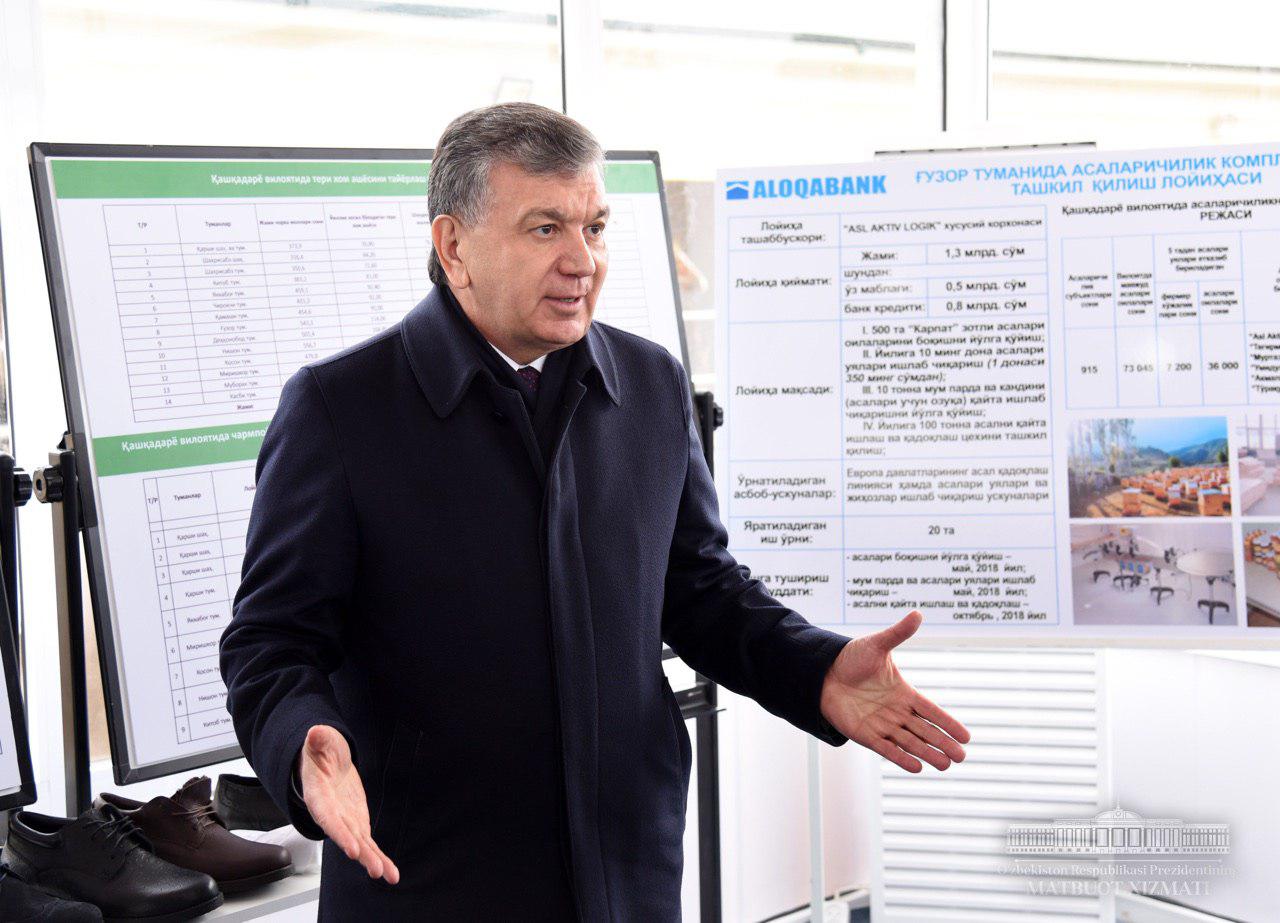 Prezident Shavkat Mirziyoyev Qashqadaryo viloyatida qishloq xo‘jaligi tarmoqlarini rivojlantirish loyihalari bilan tanishdi