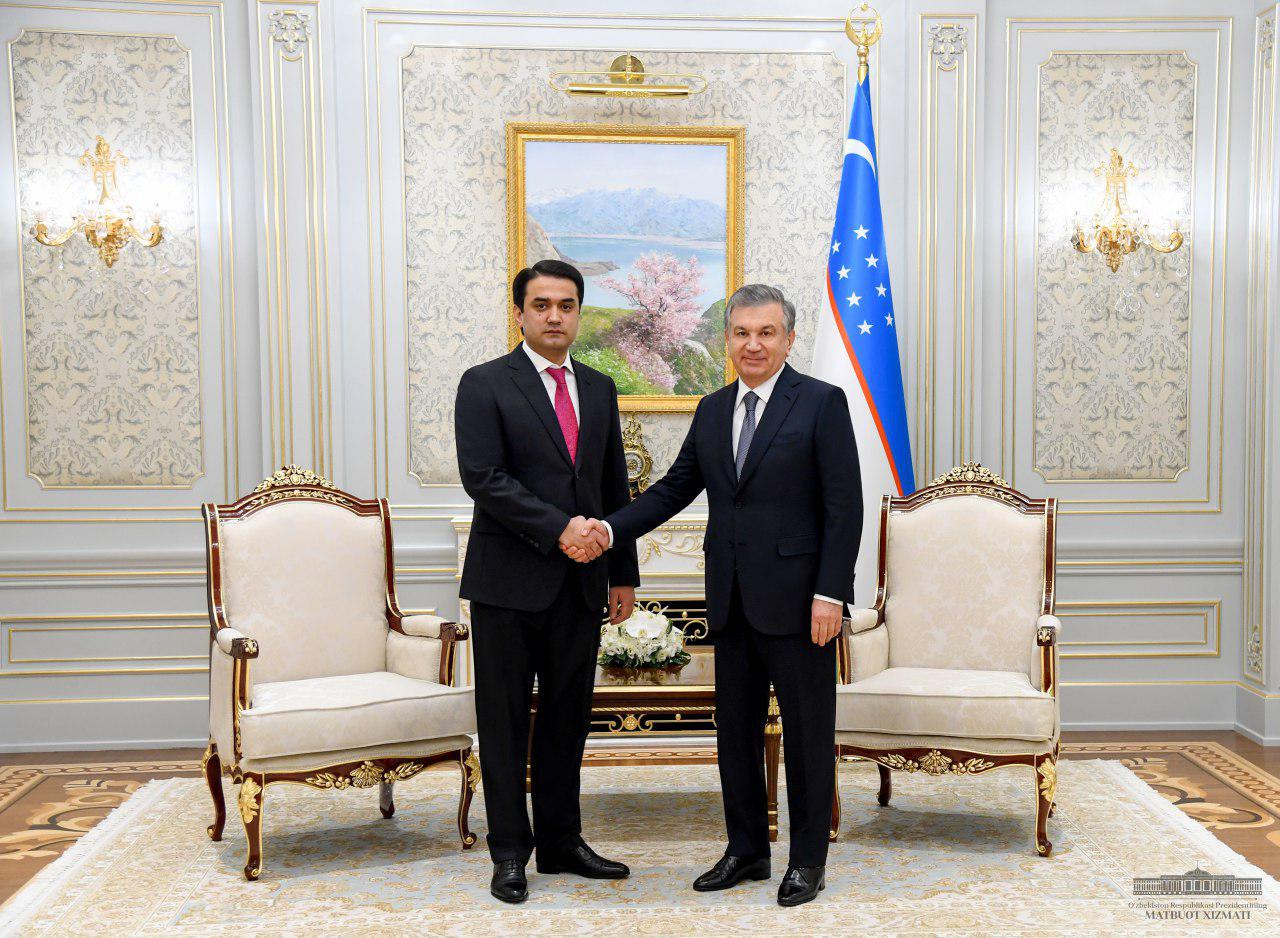 The President of Uzbekistan receives the Dushanbe chairman