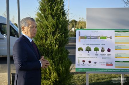 Yangi O’zbekiston street to become a harmonious combination of nature and culture