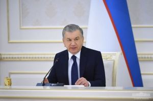 Execution of judicial acts analyzed, new tasks identified