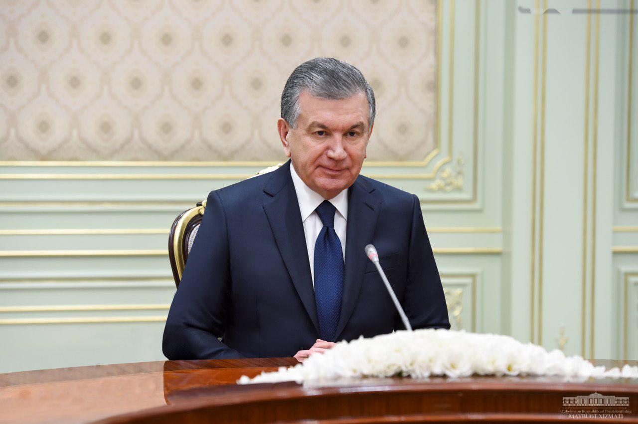 The President receives the Head of OSCE Election Observer Mission