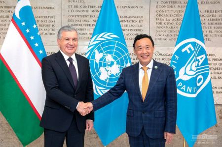 Президент Узбекистана определил приоритеты практического сотрудничества с ФАО