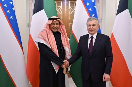 Президент Узбекистана встретился с руководителем компании «Gulf Care General Trading»