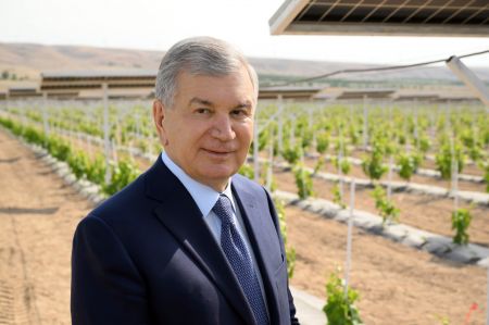 Давлатимиз раҳбари Қувада жорий этилган агровольтаика технологияси билан танишди