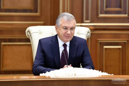 Президент Узбекистана отметил прогресс в реализации Программы партнерства с ФАР