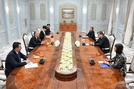 Uzbek President Receives EU Delegation