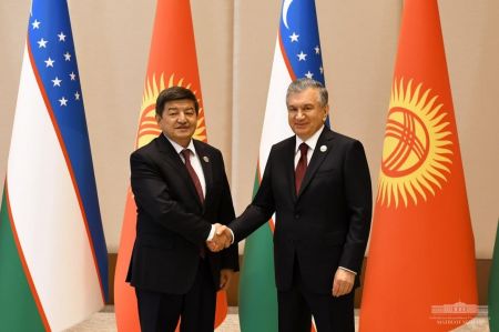 President Receives Deputy Chairman  of the Cabinet of Ministers of Kyrgyzstan