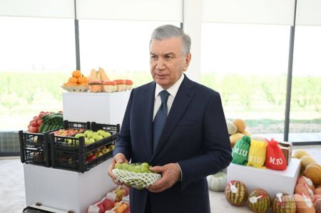 450 Hectares of Intensive Gardens Created in Quvasoy