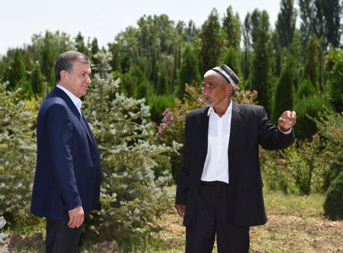 Prezident Parkent tumani Guliston mahallasida yashovchi Aminjon ota Muhammadjonovning bog‘ida bo‘ldi Prezident Parkent tumani Guliston mahallasida yashovchi Aminjon ota Muhammadjonovning bog‘ida bo‘ldi